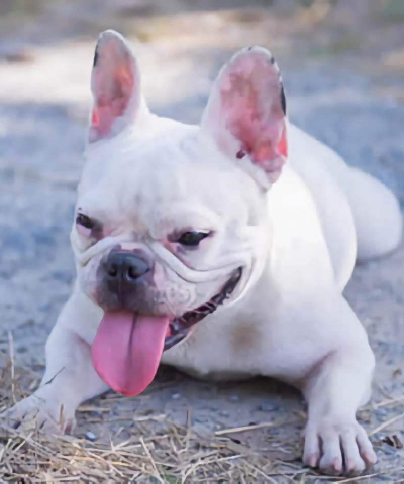 Blanco